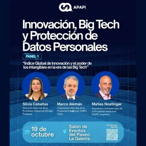 Seminario Internacional APAPI 2026
